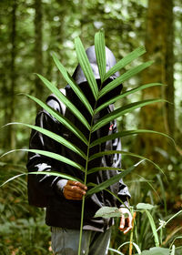 Close-up of fresh green plant in forest