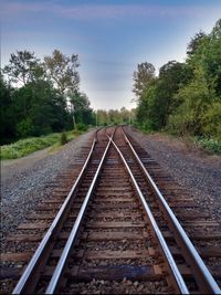 Railroad tracks and trees against blue sky