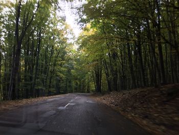 Road passing through forest