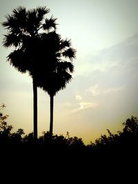 Silhouette of trees against sky at sunset