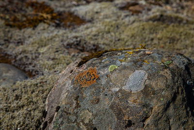 Close-up of rock