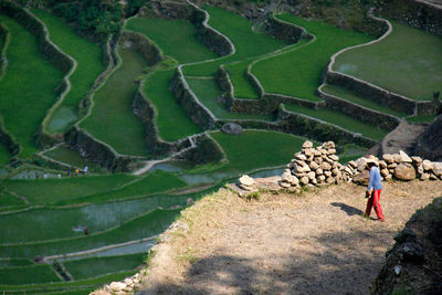 High angle view of man walking on land