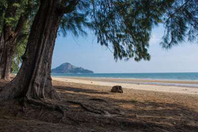 Scenic view of beach against sky