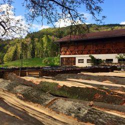 Built structure with trees in background