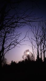 Silhouette of bare trees against sky at sunset