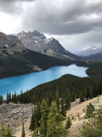 Turquoise blue glacier-fed peyto lake, worth seeing even on a cloudy day. raw photo, unedited. 