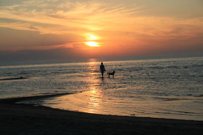 Silhouette man with dog on beach against sky during sunset