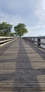 Surface level of boardwalk on footpath by trees against sky