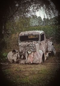 Abandoned car on field in forest