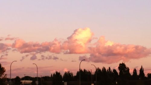 Silhouette trees against sky during sunset