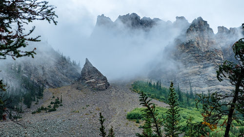 Panoramic view of land and trees against sky