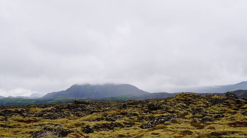 Scenic view of landscape against sky