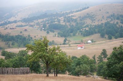 High angle view of road amidst trees and landscape