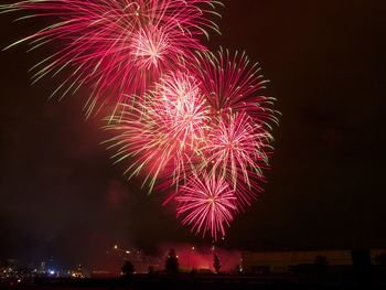 Low angle view of firework display