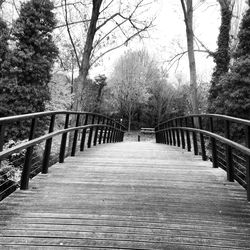 Footbridge in forest