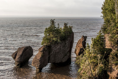 Scenic view of rocks in sea against sky