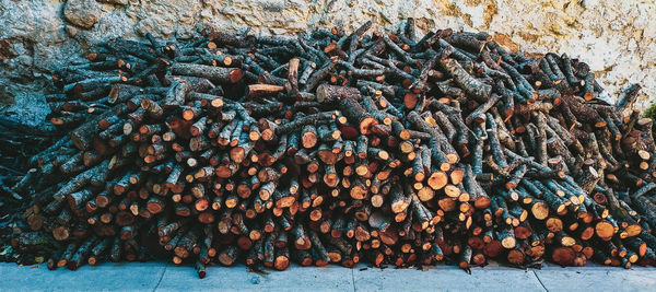 Stack of logs in forest