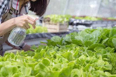 Midsection of woman holding leaf