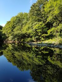 Reflection of trees in lake against sky