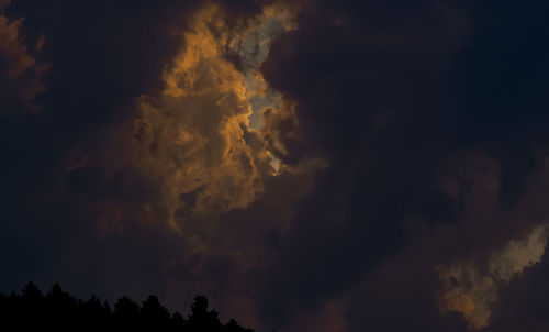 Low angle view of silhouette trees against sky at night