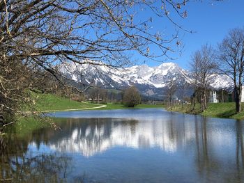 Scenic view of lake by trees against clear sky