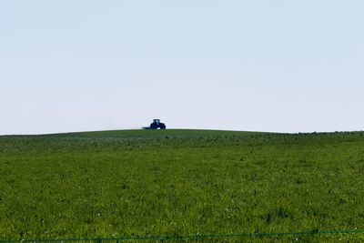 Scenic view of field against clear sky