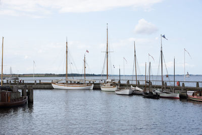 Sailboats moored in harbor