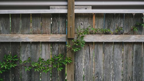 Close-up of wooden fence against wall