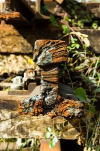 Close-up of rusty metal on field