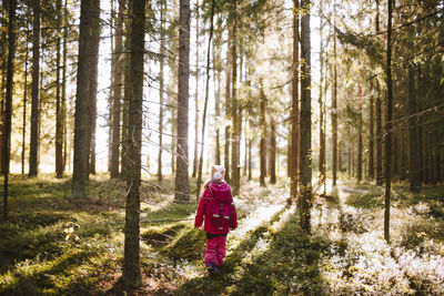 Rear view of woman walking in forest