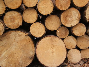 Full frame shot of logs in forest