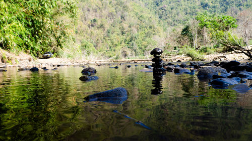 View of ducks swimming in lake