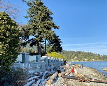 People at beach against sky