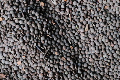 Full frame shot of coffee beans