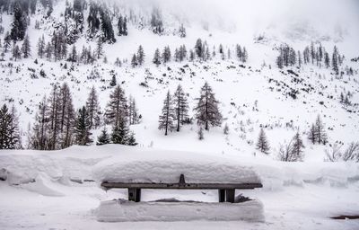 Scenic view of snow covered field