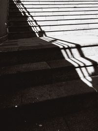 Shadow of people on road