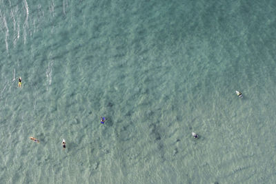 High angle view of people surfing in sea