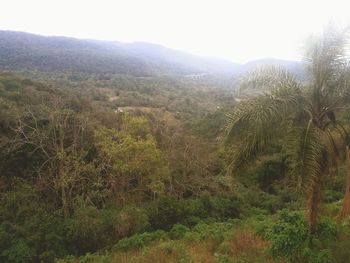 Scenic view of mountains