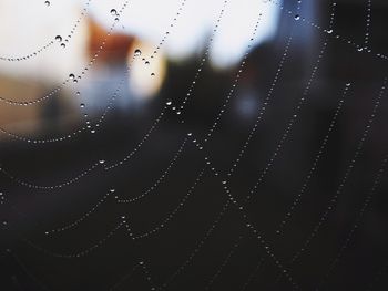 Close-up of water drops on spider web