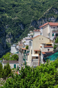 High angle view of houses and trees in town