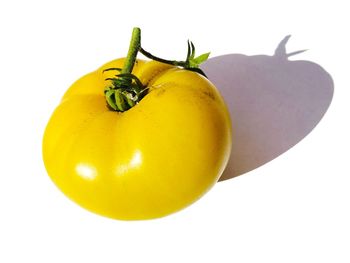 Close-up of lemon slice against white background