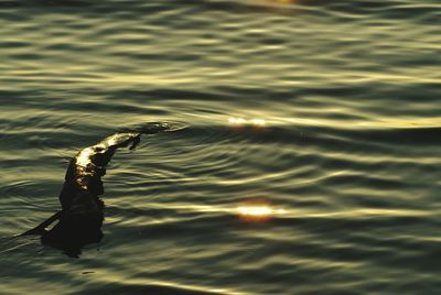 View of water in sea