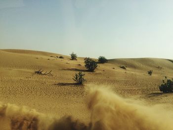 Scenic view of desert against clear sky