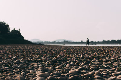 Surface level of stones on beach against clear sky