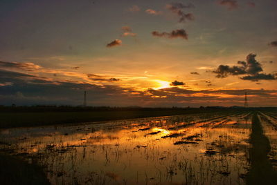 Scenic view of field against sky during sunset