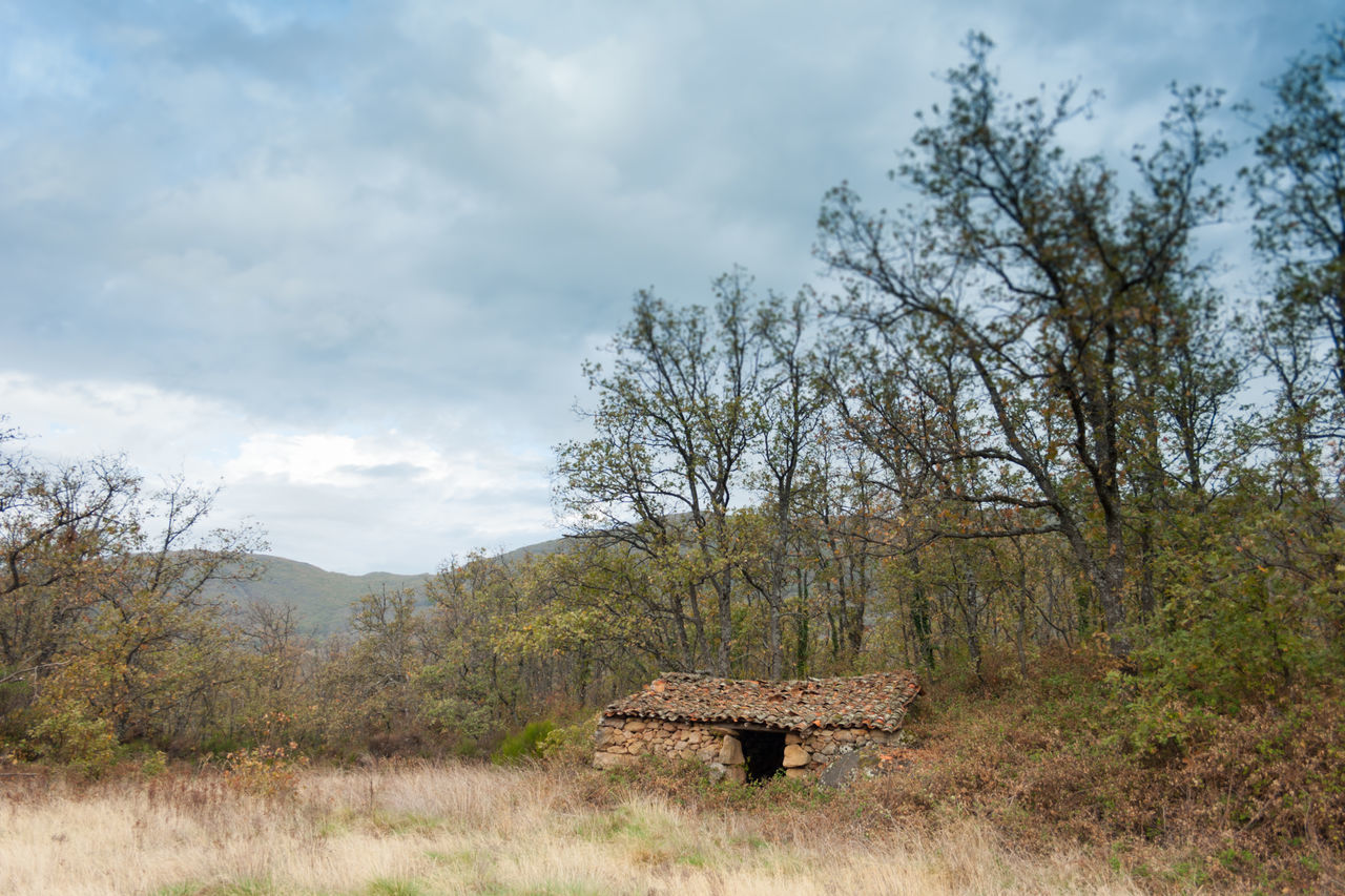 ABANDONED BUILT STRUCTURE ON LAND AGAINST SKY