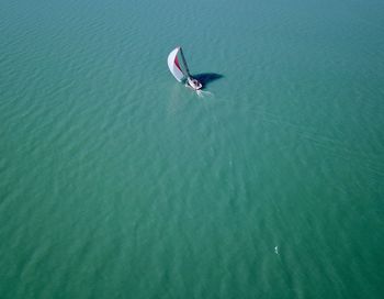 High angle view of duck swimming in sea