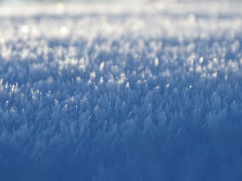 Close-up of snow on land