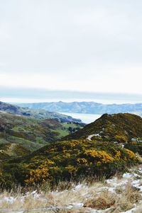 Scenic view of landscape against sky