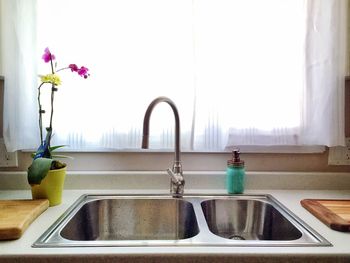 Potted plants on window sill